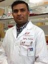 Dr. Ashok Sharma, PhD